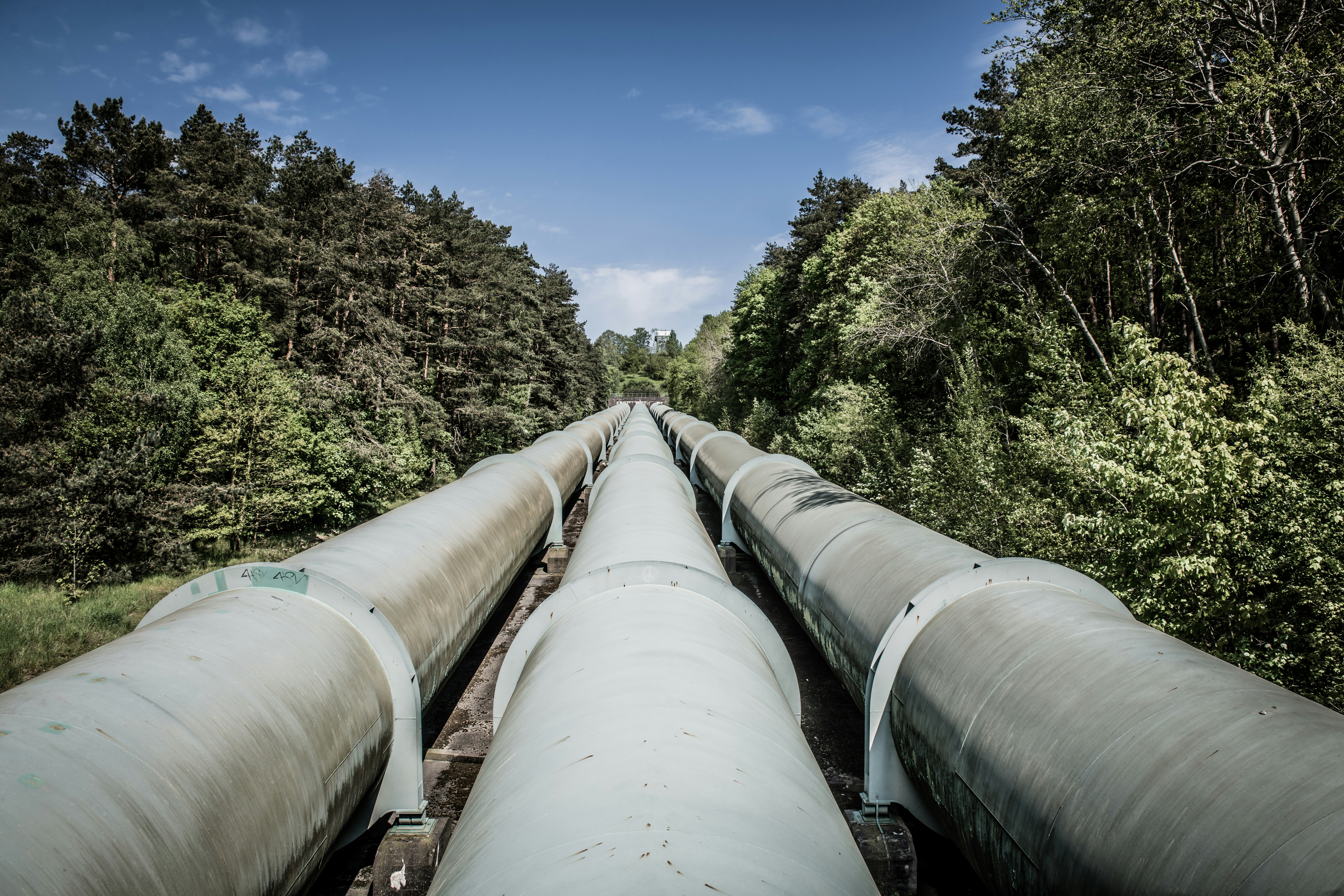 Large industrial pipes running parallel along a tree-lined pathway under blue sky